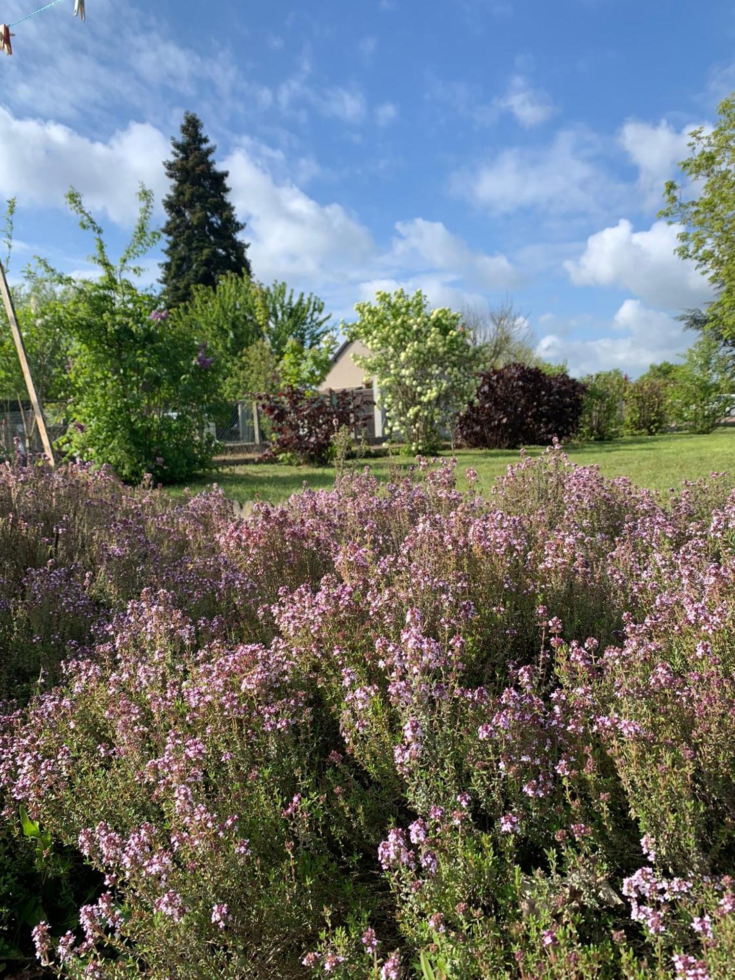 Villa Les Cormiers à Chailles  Extérieur photo